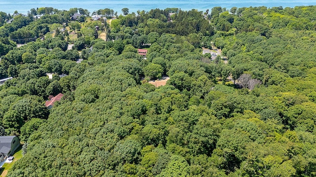 295 N Lakeshore Dr, Holland, MI 49424 - aerial view of property's location featuring a forest