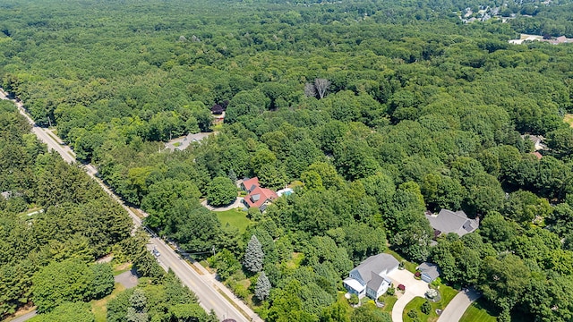 295 N Lakeshore Dr, Holland, MI 49424 - aerial view of a heavily wooded area