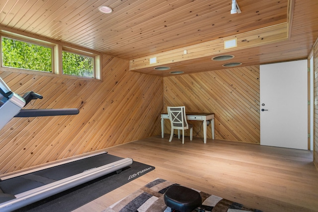 295 N Lakeshore Dr, Holland, MI 49424 - workout room with wooden ceiling, wooden walls, and wood finished floors