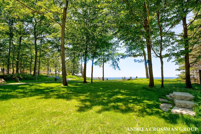 1228 Shore Crest Dr, South Haven, MI 49090 - view of grassy yard with a water view