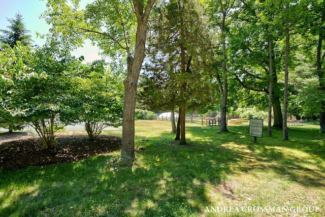 1228 Shore Crest Dr, South Haven, MI 49090 - view of yard