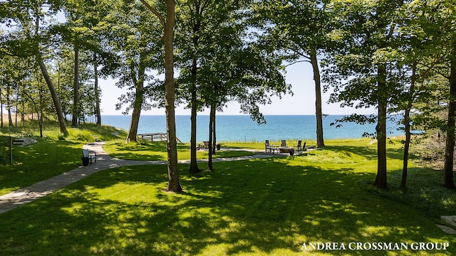 1228 Shore Crest Dr, South Haven, MI 49090 - view of community with a water view and a yard