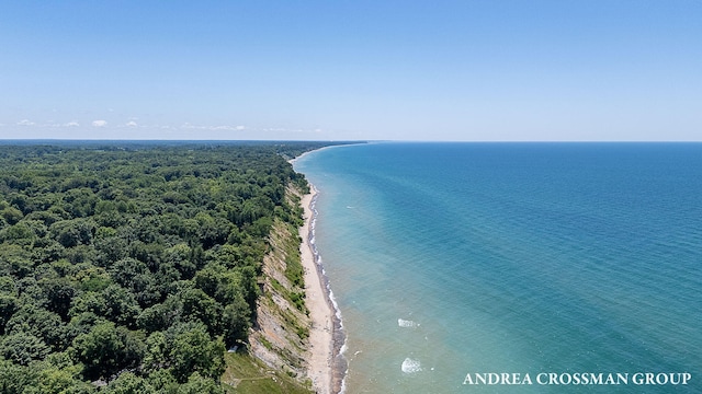 1228 Shore Crest Dr, South Haven, MI 49090 - bird's eye view of expansive beach