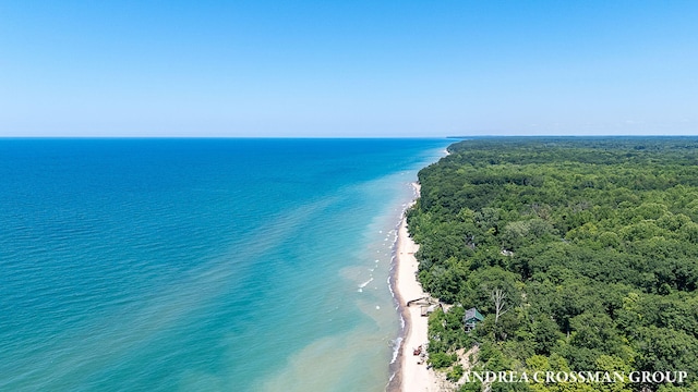 1228 Shore Crest Dr, South Haven, MI 49090 - aerial view of expansive coastline