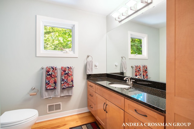 1228 Shore Crest Dr, South Haven, MI 49090 - bathroom with vanity and wood finished floors
