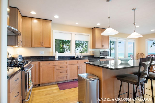 1228 Shore Crest Dr, South Haven, MI 49090 - kitchen featuring stainless steel appliances, a kitchen bar, plenty of natural light, recessed lighting, and light wood finished floors