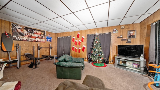 405 5th St, Evart, MI 49631 - living room featuring carpet floors and wooden walls