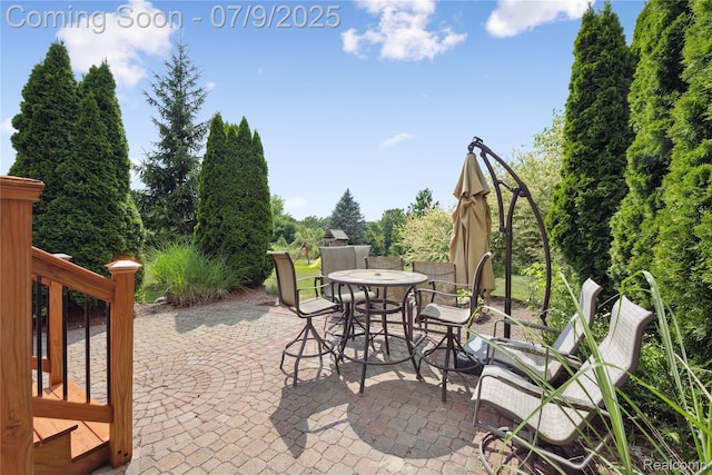 2869 Laurel Oak Dr, Howell, MI 48855 - photo 19