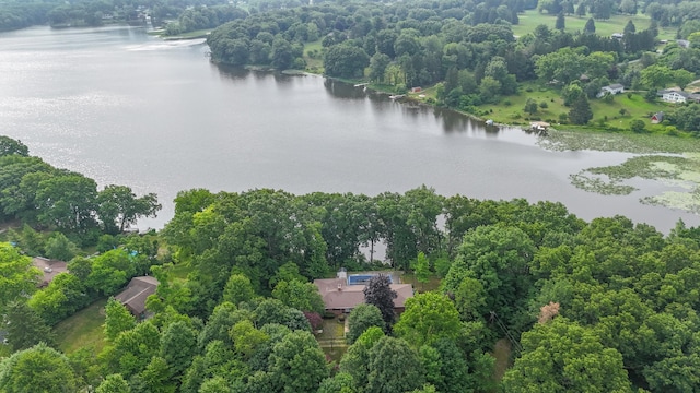 55835 Davis Ln, Dowagiac, MI 49047 - bird's eye view of a large body of water