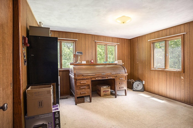 55835 Davis Ln, Dowagiac, MI 49047 - office area with carpet floors and wooden walls