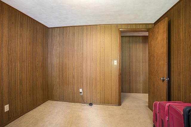 55835 Davis Ln, Dowagiac, MI 49047 - empty room with carpet floors and wood walls