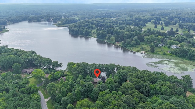 55835 Davis Ln, Dowagiac, MI 49047 - drone / aerial view of a nearby body of water