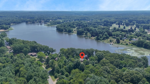 55835 Davis Ln, Dowagiac, MI 49047 - photo 37