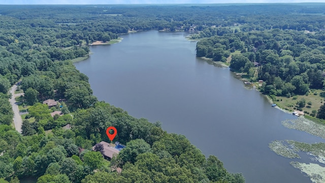55835 Davis Ln, Dowagiac, MI 49047 - photo 40
