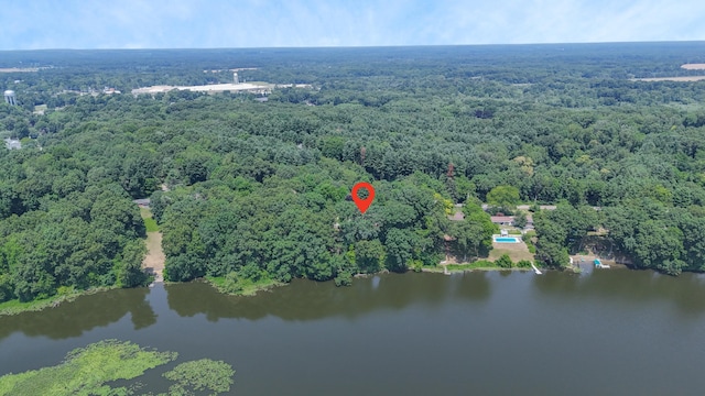 55835 Davis Ln, Dowagiac, MI 49047 - photo 41