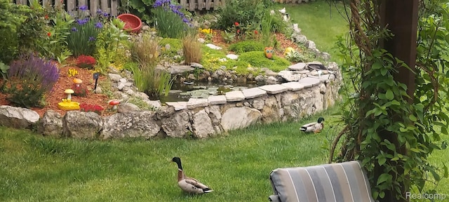 15203 Woodpine Dr, Monroe, MI 48161 - view of yard