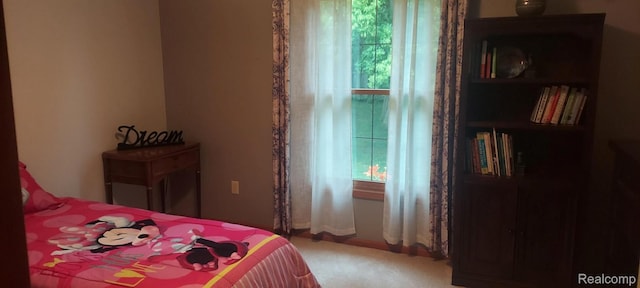 15203 Woodpine Dr, Monroe, MI 48161 - bedroom with multiple windows and carpet flooring