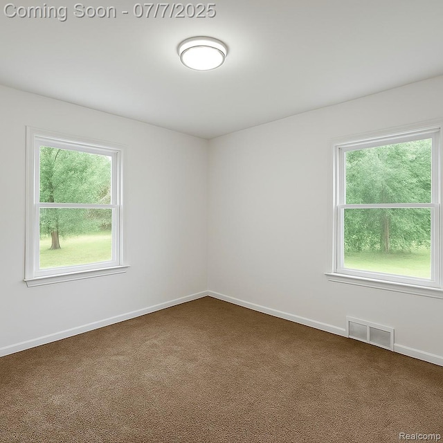 19507 Pierson St, Detroit, MI 48219 - photo 13