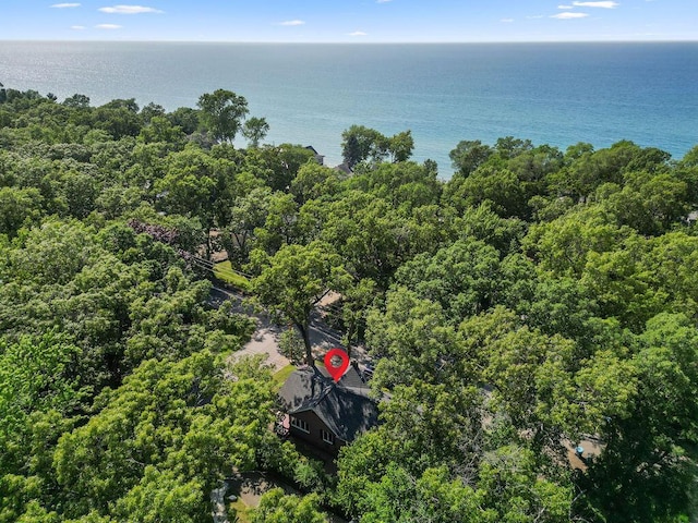 99 Tahoma Trl, New Buffalo, MI 49117 - drone / aerial view of a large body of water