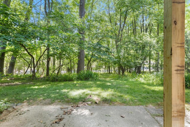 3819 Greenleaf Cir, Kalamazoo, MI 49008 - photo 29