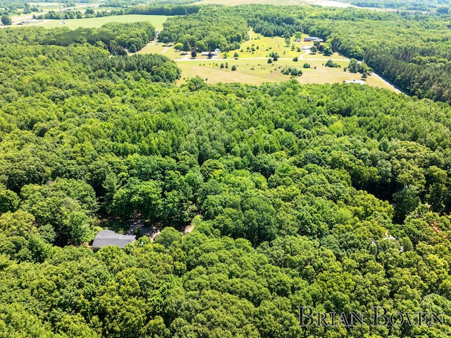 2625 Elmwood Dr, Pierson, MI 49339 - drone / aerial view of a heavily wooded area