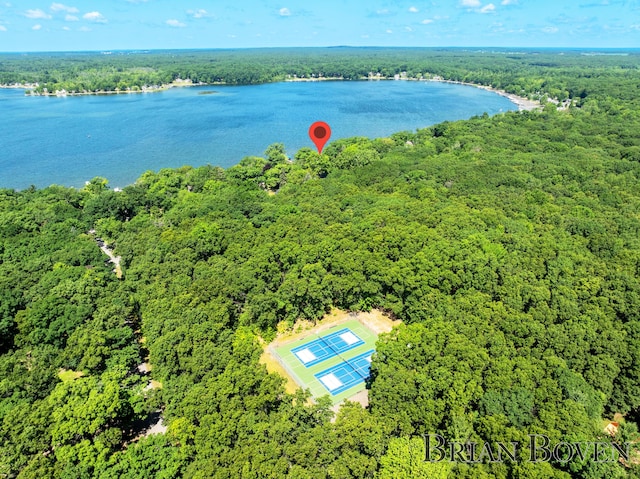 2625 Elmwood Dr, Pierson, MI 49339 - drone / aerial view of a forest and a large body of water