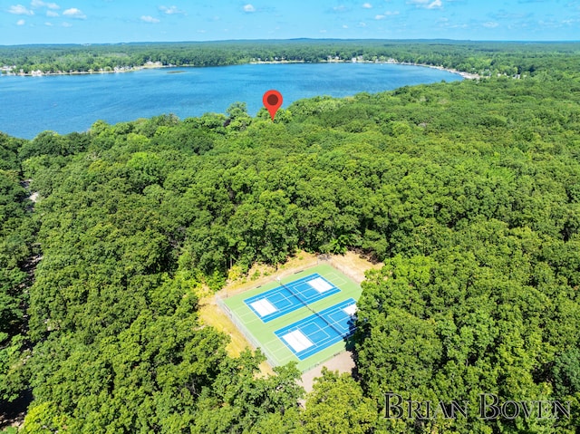 2625 Elmwood Dr, Pierson, MI 49339 - aerial view of a forest and a large body of water
