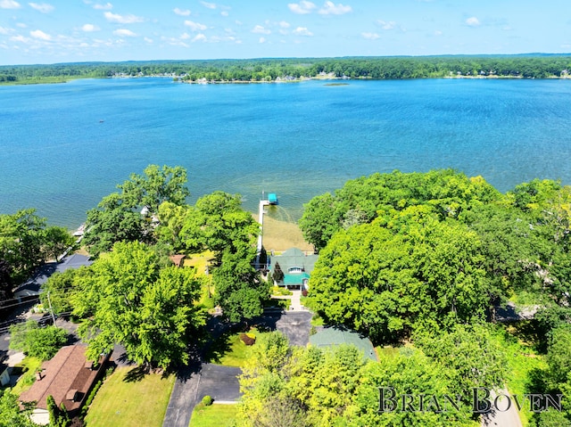 2625 Elmwood Dr, Pierson, MI 49339 - bird's eye view of a nearby body of water