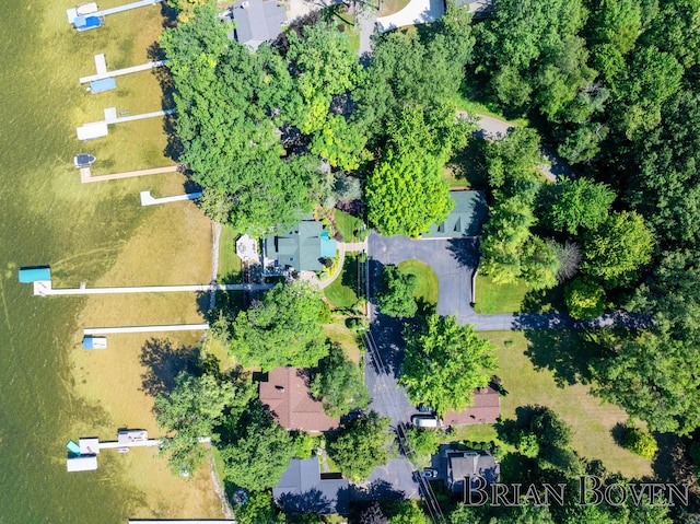 2625 Elmwood Dr, Pierson, MI 49339 - aerial view