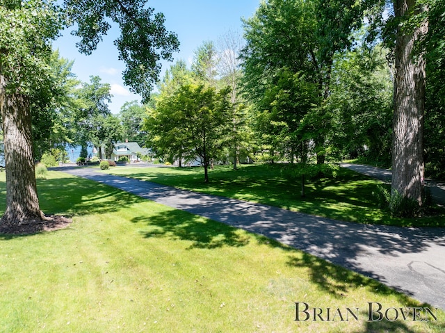 2625 Elmwood Dr, Pierson, MI 49339 - view of street