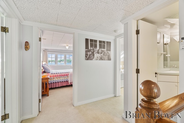 2625 Elmwood Dr, Pierson, MI 49339 - corridor featuring light colored carpet and ornamental molding
