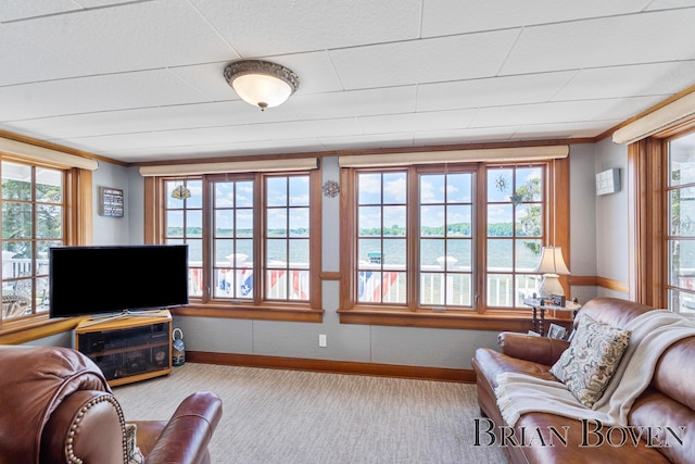 2625 Elmwood Dr, Pierson, MI 49339 - carpeted living room featuring crown molding and a water view