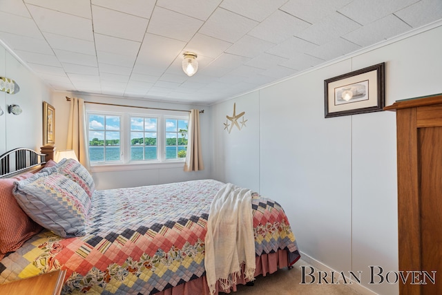2625 Elmwood Dr, Pierson, MI 49339 - bedroom with carpet