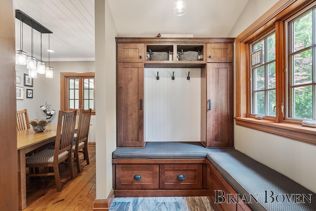 2625 Elmwood Dr, Pierson, MI 49339 - mudroom featuring healthy amount of natural light, ornamental molding, and light wood-style floors