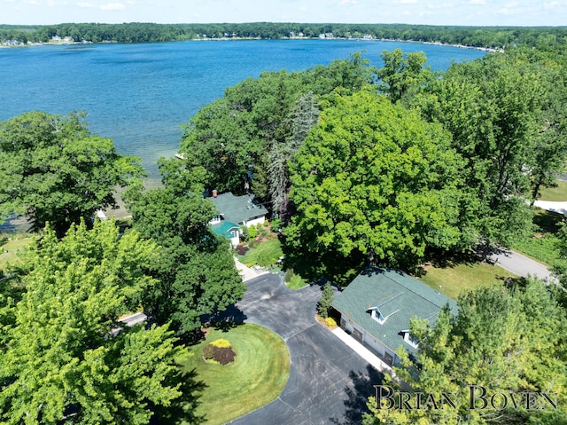 2625 Elmwood Dr, Pierson, MI 49339 - drone / aerial view of a nearby body of water