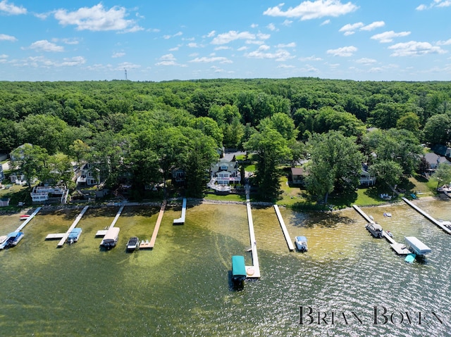 2625 Elmwood Dr, Pierson, MI 49339 - aerial view of a heavily wooded area and a large body of water