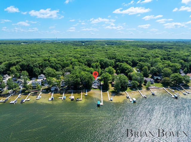 2625 Elmwood Dr, Pierson, MI 49339 - drone / aerial view of a forest and a nearby body of water