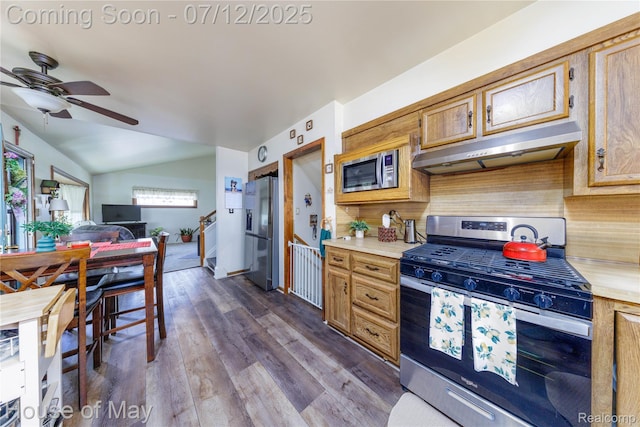36827 Weideman, Clinton Township, MI 48035 - kitchen featuring appliances with stainless steel finishes, under cabinet range hood, light countertops, vaulted ceiling, and a ceiling fan