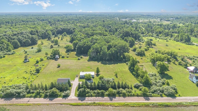 3433 Nile Rd, Whittemore, MI 48770 - photo 21