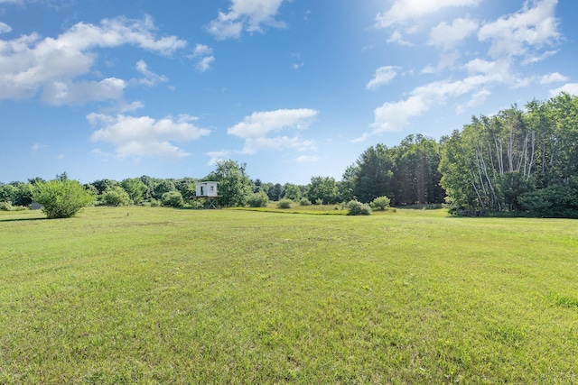 3433 Nile Rd, Whittemore, MI 48770 - photo 18