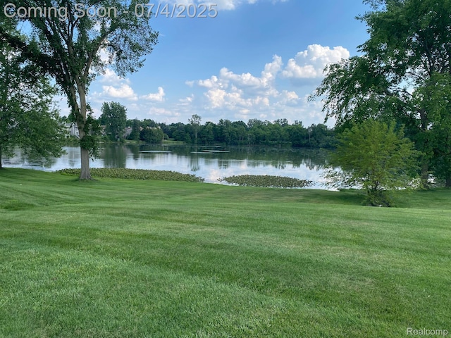 1093 Lake Park Cir Unit 6, Grand Blanc, MI 48439 - water view