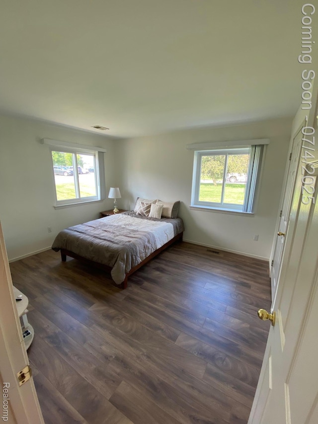 1093 Lake Park Cir Unit 6, Grand Blanc, MI 48439 - bedroom with multiple windows and dark wood-style floors