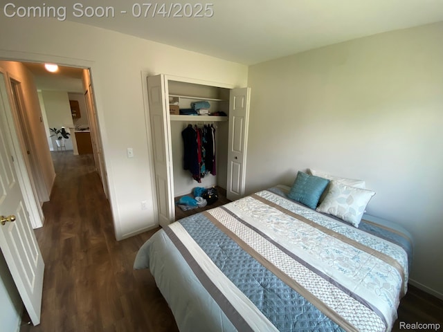 1093 Lake Park Cir Unit 6, Grand Blanc, MI 48439 - bedroom featuring dark wood-style flooring and a closet