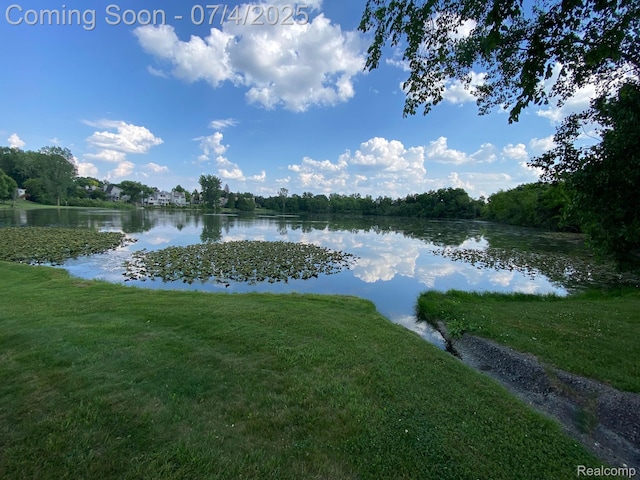 1093 Lake Park Cir Unit 6, Grand Blanc, MI 48439 - water view