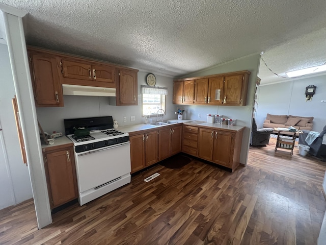 3435 N Pine Ave, White Cloud, MI 49349 - photo 28