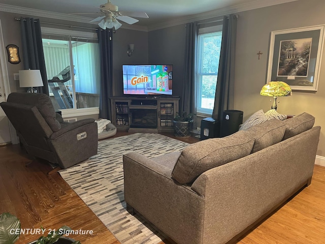 324 Pine St, Clio, MI 48420 - living area with wood finished floors, crown molding, ceiling fan, and a glass covered fireplace