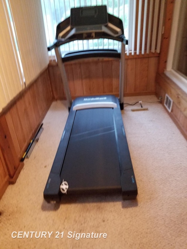 324 Pine St, Clio, MI 48420 - exercise room with carpet and wood walls