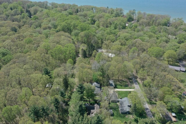 3067 Birch Ave, Coloma, MI 49038 - photo 43