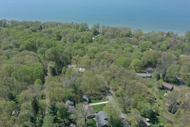 3067 Birch Ave, Coloma, MI 49038 - photo 44