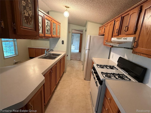 26852 Roric St, Novi, MI 48377 - kitchen with white appliances, exhaust hood, a textured ceiling, light countertops, and vaulted ceiling